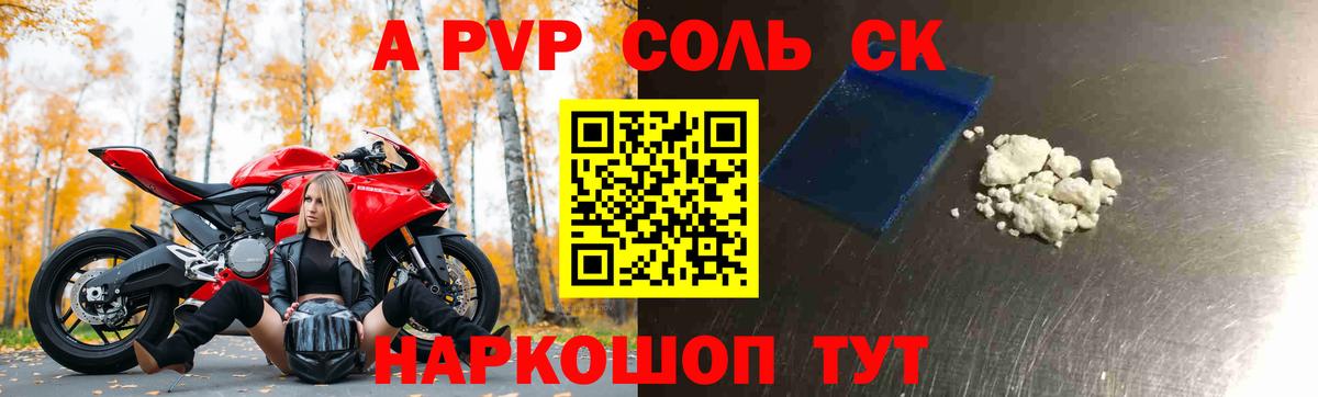 A PVP СК КРИС Новороссийск
