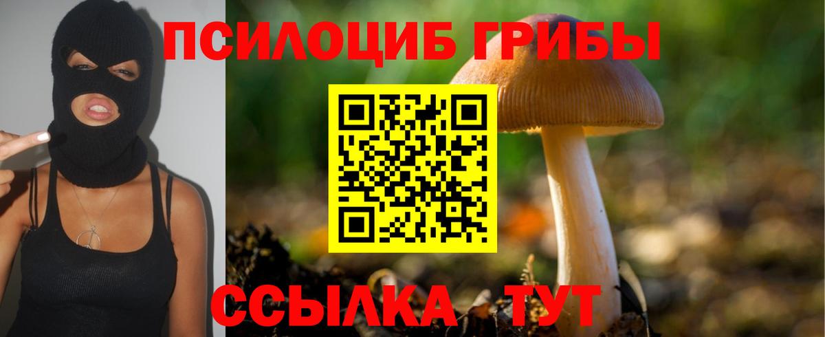 как найти закладки  Галлюциногенные грибы мухоморы  Вход с VPN  Новороссийск 